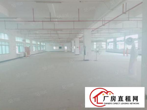  虎门镇，沿江高速路口1.5公里处独门独院标准厂房4690平