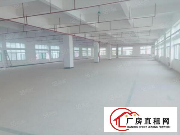  虎门镇，沿江高速路口1.5公里处独门独院标准厂房4690平