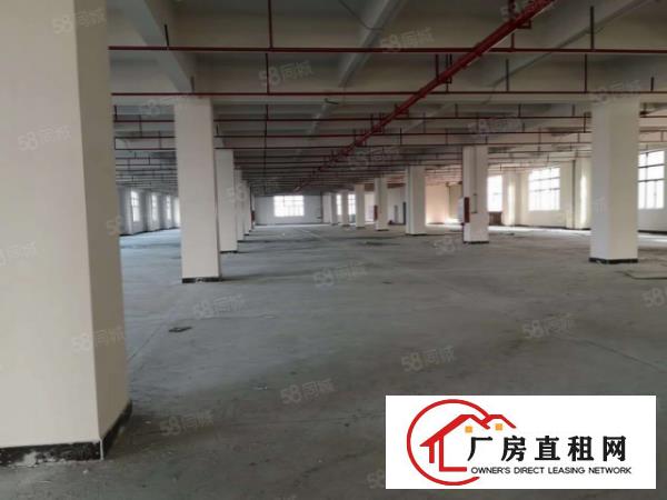  南栅新出工业厂房招租，单层2380平方出租，800平方起租