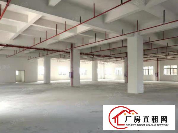  龙眼全新产业园，房东直租，面积大小按需出租
