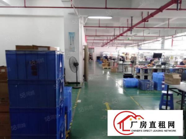  龙眼全新产业园，房东直租，面积大小按需出租