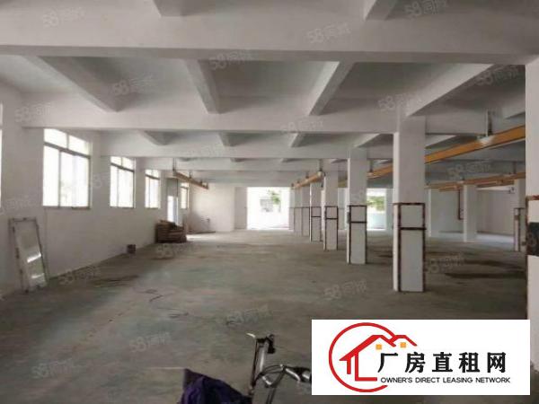  南栅沿江高速独门独院4690平厂房招租形象好