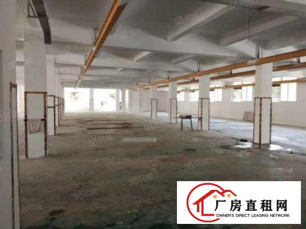  南栅沿江高速独门独院4690平厂房招租形象好