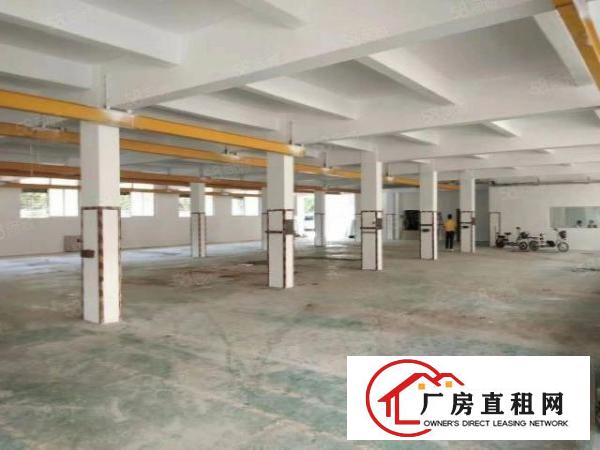  南栅沿江高速独门独院4690平厂房招租形象好