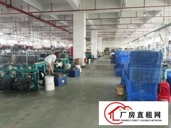  靓！虎门怀德高形象园区A栋每层1500平，B栋每层4000平