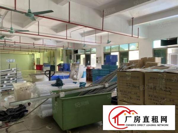 虎门大宁2800靠南部湾精装修13块实际面积厂房出租可分租