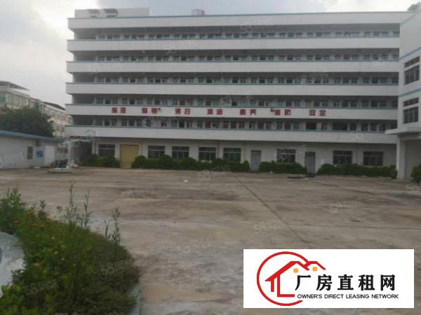  。虎门树田工业区本地房东花园式厂房出租8000平米面积大小分