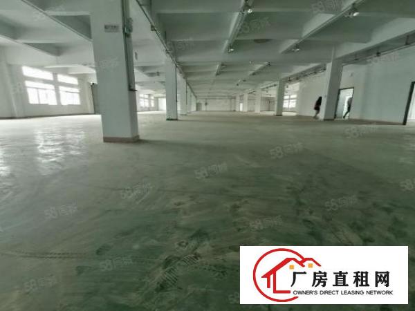  。虎门树田工业区本地房东花园式厂房出租8000平米面积大小分
