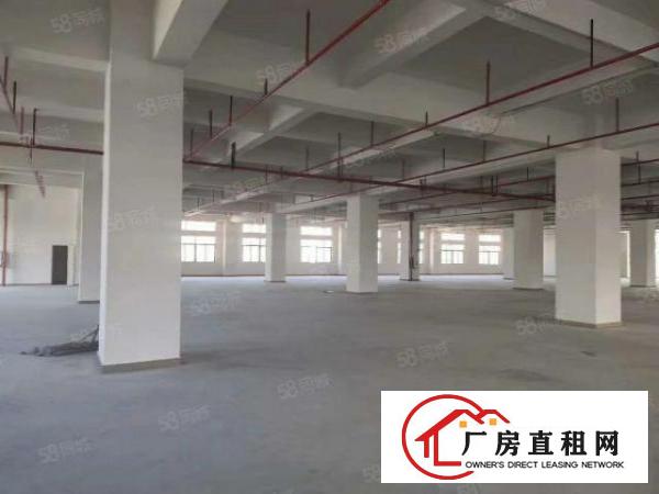  南栅原房东5400平方独院厂房招租，不接受二手房东！