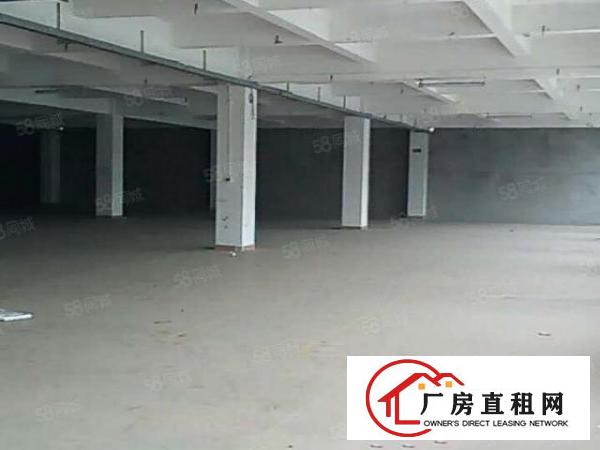  笋！怀德路口豪华装修无公摊1楼1100平方豪华装修厂房出租！