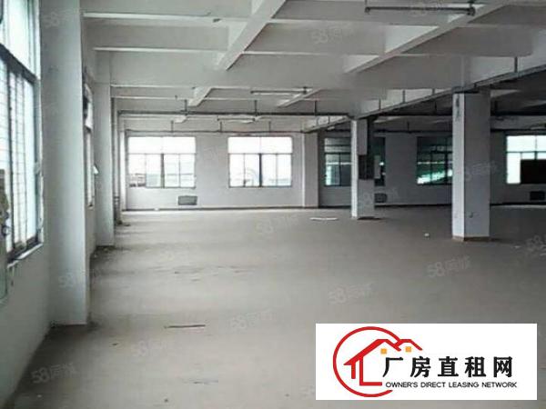  笋！怀德路口豪华装修无公摊1楼1100平方豪华装修厂房出租！