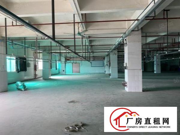 虎门龙眼新出原房东1800方实际面积厂房出租可办环评装修豪华