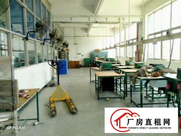  虎门怀德芦狄埔工业区18号独院厂房，原房东红本实际面积出租