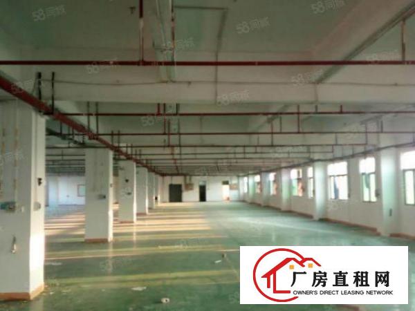  笋！沿江高速旁4680平豪华装修独院厂房出租啦！