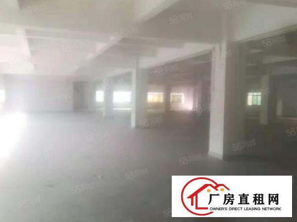  笋！沿江高速旁4680平豪华装修独院厂房出租啦！