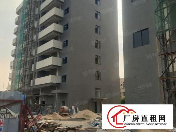  。虎门原房东高新产业园全新厂房9200平米招租，可分割出租！