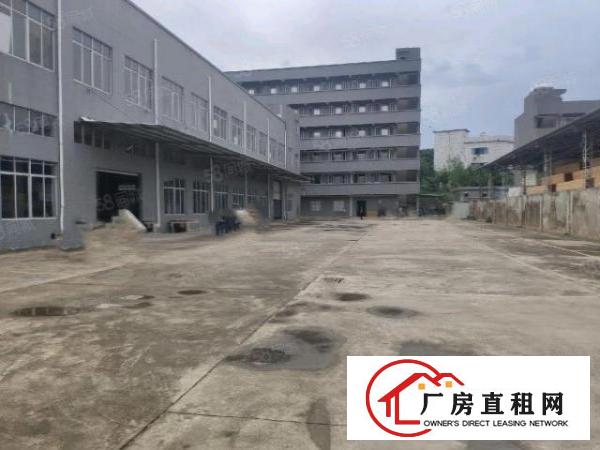  笋！可办环评！超大配电！1楼1620平方豪华装修厂房出租啦！