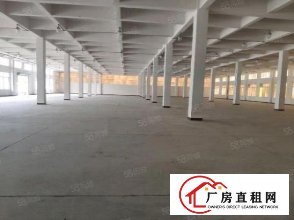  笋！可办环评！超大配电！1楼1620平方豪华装修厂房出租啦！