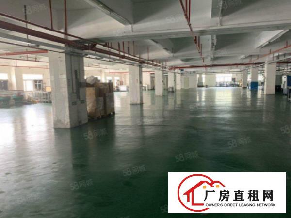  一手房东独院厂房整租出租，本人还有三个虎门本地房东厂房资源