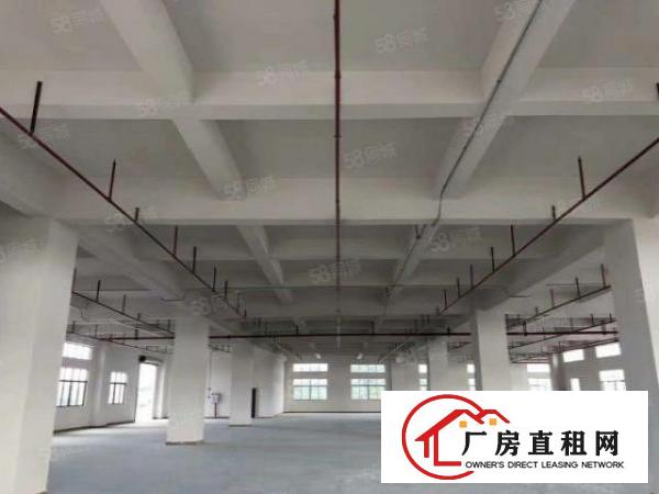  园区有现成大环评！含注塑喷油喷漆丝印各行类，可分租！