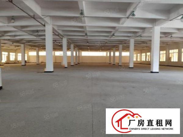  笋！仓庫物流配送中心！原房东1100平7米高标准1楼出租啦！