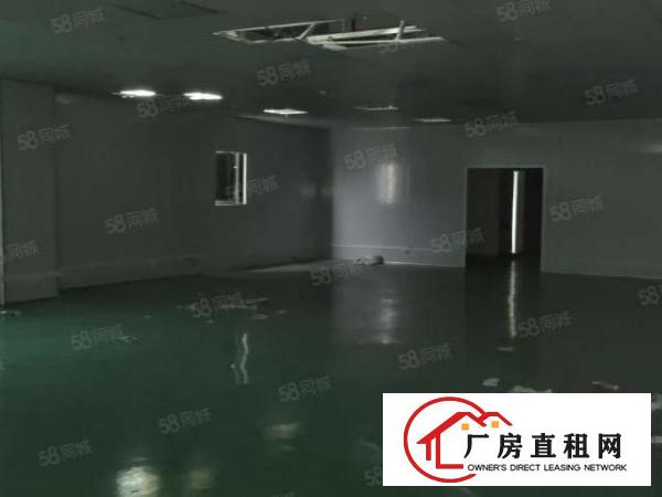  虎门南栅五区楼上整层1600平招租装修豪华可办环评