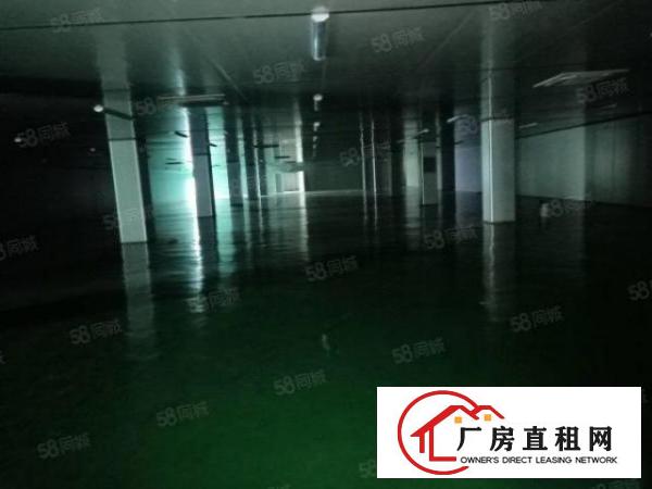  虎门工业旺地全新厂房9600平方米整栋出租