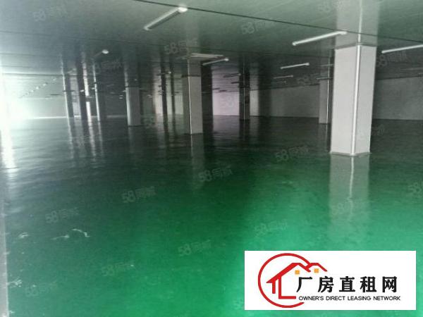  虎门工业旺地全新厂房9600平方米整栋出租