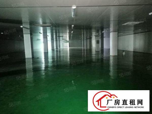  虎门工业旺地全新厂房9600平方米整栋出租