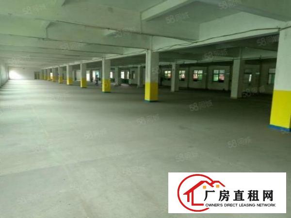 虎门工业旺地全新厂房9600平方米整栋出租