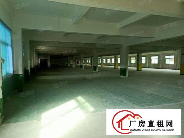  虎门工业旺地全新厂房9600平方米整栋出租