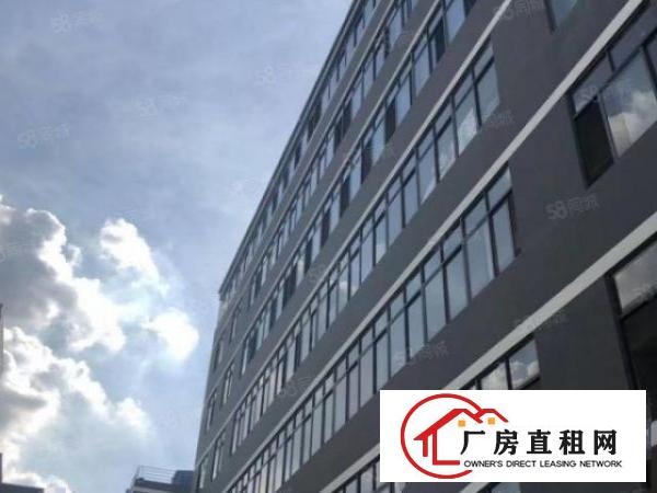  虎门（怀德）新出豪华装修800平方