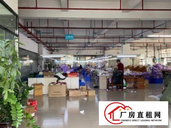  虎门白沙（独院）新空出精美小独院5600平可分租！可办环评！