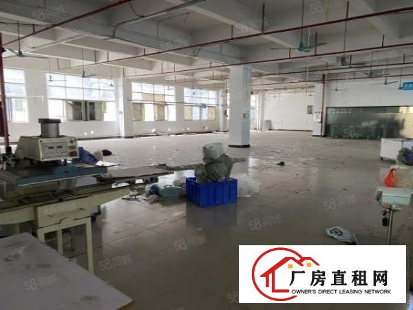  虎门白沙（独院）新空出精美小独院5600平可分租！可办环评！