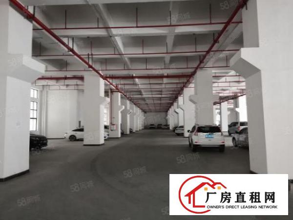 新建独院1.3万平米，形象环境好，交通便利，距离高速出口近