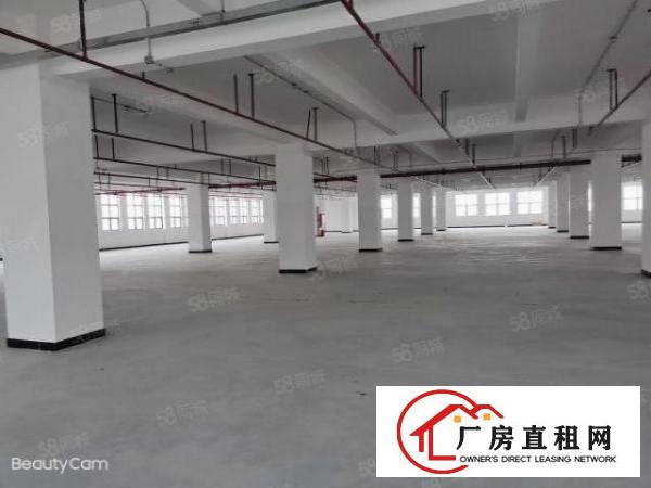  新建独院1.3万平米，形象环境好，交通便利，距离高速出口近