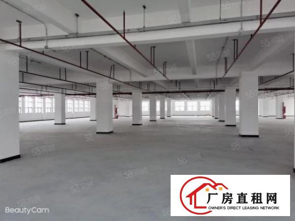  新建独院1.3万平米，形象环境好，交通便利，距离高速出口近