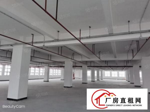  新建独院1.3万平米，形象环境好，交通便利，距离高速出口近