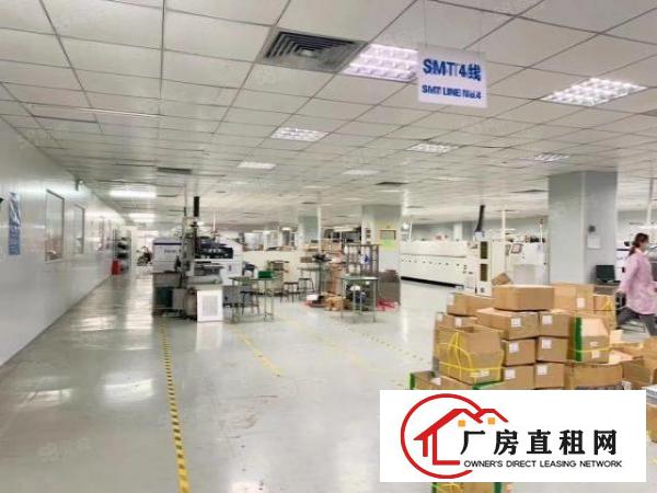  虎门临广深高速大宁新出楼上精装厂房500平可分租两家