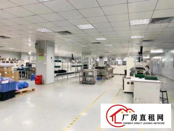  虎门临广深高速大宁新出楼上精装厂房500平可分租两家