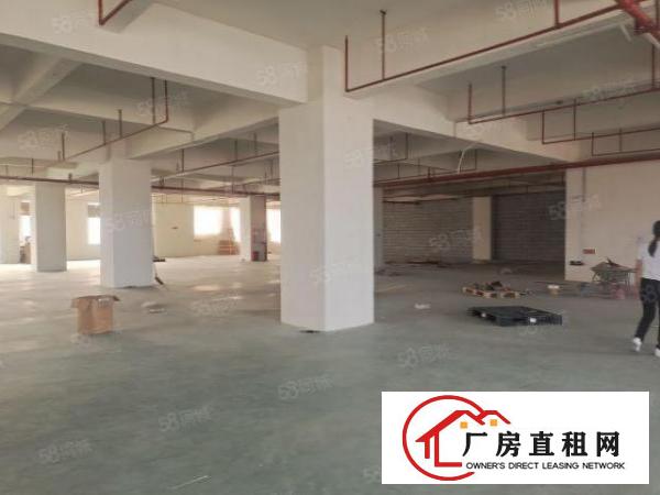  。虎门怀德路新空出5楼厂房2400平米现成装修水电齐全