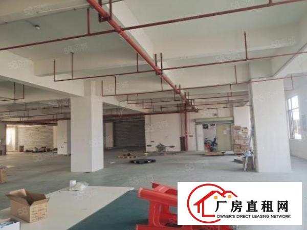  。虎门怀德路新空出5楼厂房2400平米现成装修水电齐全
