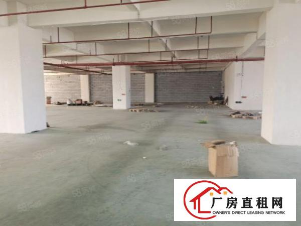 。虎门怀德路新空出5楼厂房2400平米现成装修水电齐全