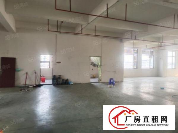  。虎门怀德路新空出5楼厂房2400平米现成装修水电齐全