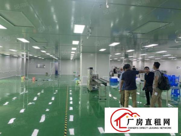 笋虎门南栅十级无尘车间可办环评豪华装修5000平独院厂房出租