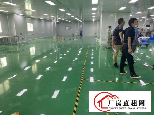  笋虎门南栅十级无尘车间可办环评豪华装修5000平独院厂房出租