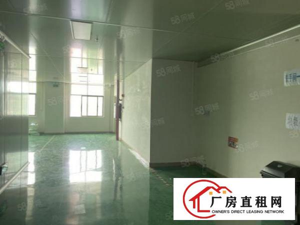  笋虎门南栅十级无尘车间可办环评豪华装修5000平独院厂房出租