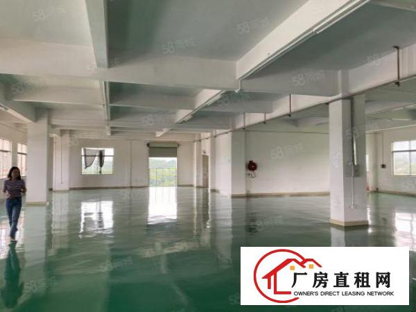  笋虎门南栅十级无尘车间可办环评豪华装修5000平独院厂房出租