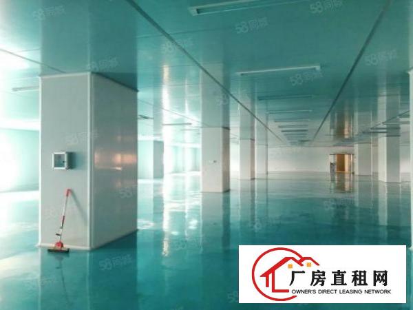  虎门临广深高速大宁新出十万级无尘车间2200平拧包入住