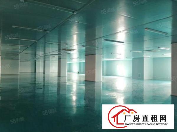  虎门临广深高速大宁新出十万级无尘车间2200平拧包入住